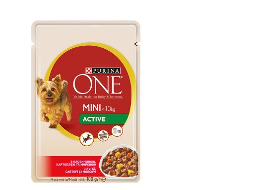 One Mini Active