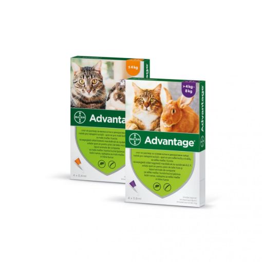 Advantage, Адвентидж