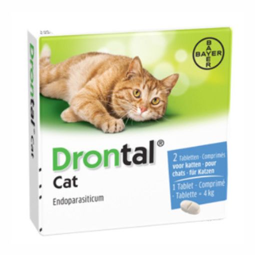 Drontal cat, Дронтал за котки