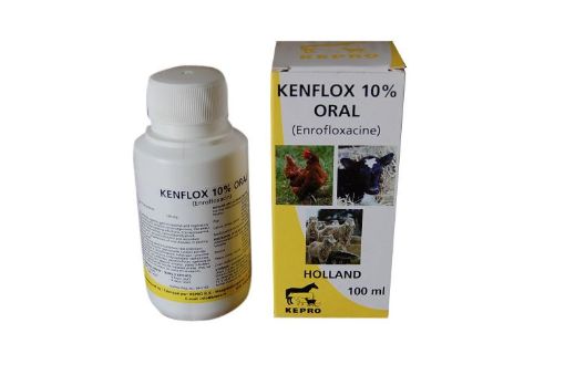 Kenflox 10%, Кенфлокс 10%