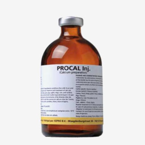 Procal, Прокал